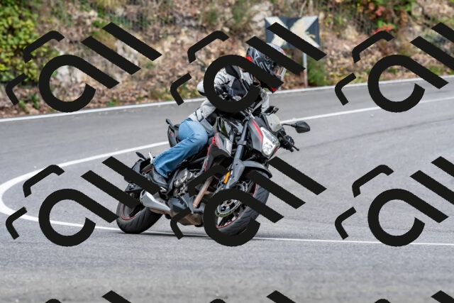 202509141339-DSC_0420_d2_