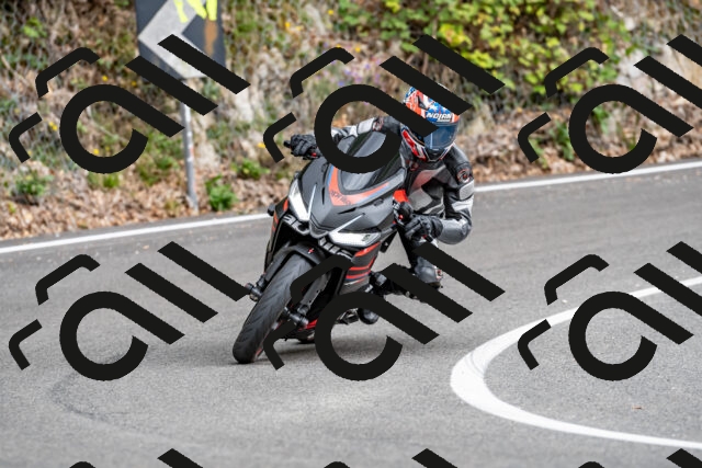 202509141342-DSC_0426_d2_