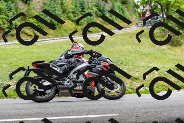 202509141342-DSC_0429_d2_