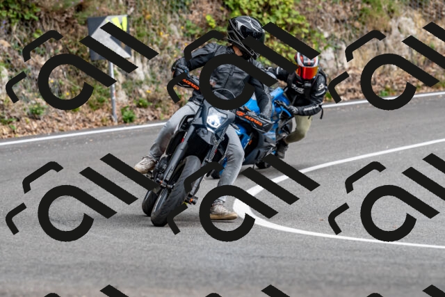 202509141342-DSC_0431_d2_