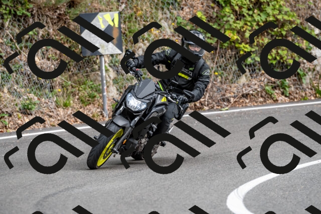 202509141343-DSC_0438_d2_