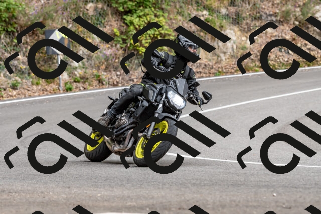 202509141343-DSC_0439_d2_