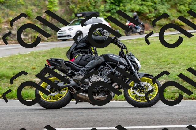 202509141343-DSC_0441_d2_