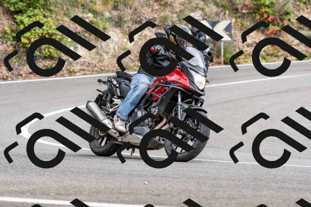 202509141343-DSC_0442_d2_