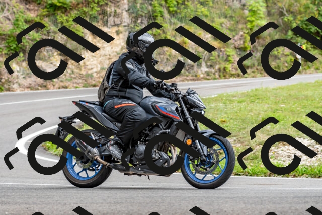 202509141343-DSC_0445_d2_