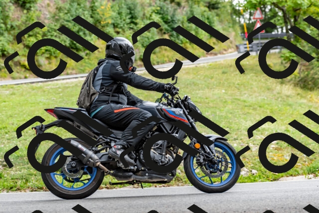 202509141343-DSC_0446_d2_