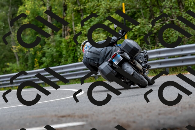 202509141351-DSC_0474_d2_