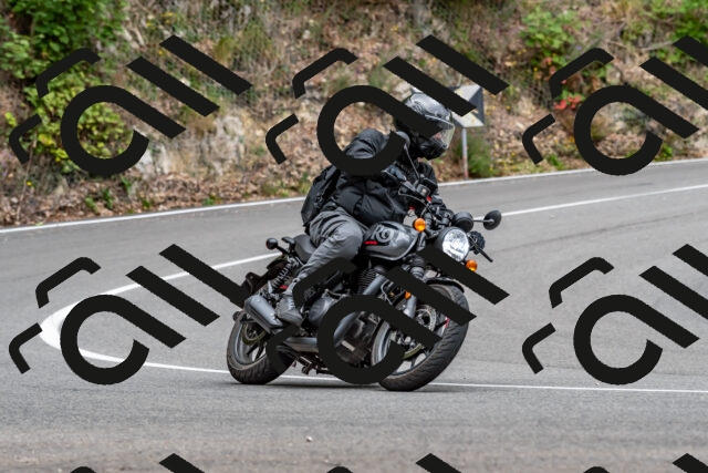 202509141353-DSC_0491_d2_