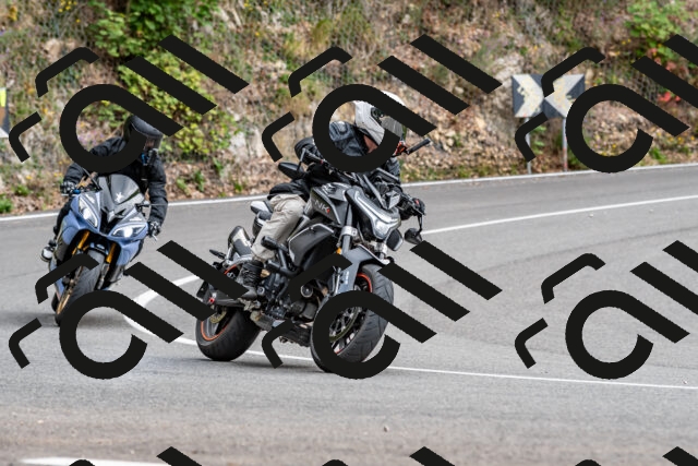 202509141409-DSC_0518_d2_