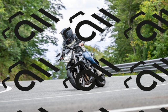 202509141446-DSC_0595_d2_