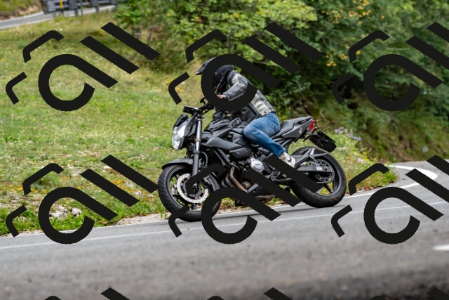 202509141446-DSC_0596_d2_