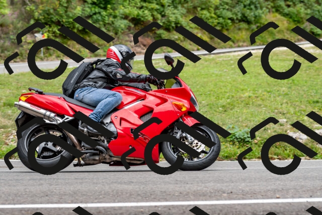 202509141450-DSC_0601_d2_