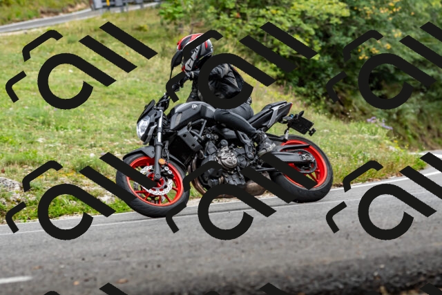 202509141459-DSC_0640_d2_