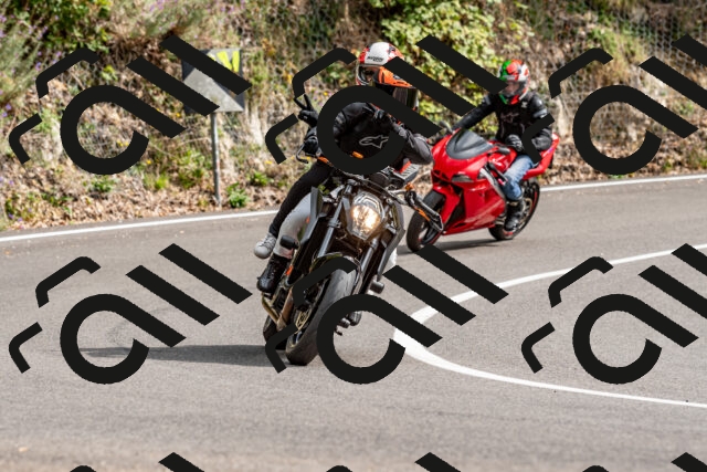 202509141512-DSC_0721_d2_