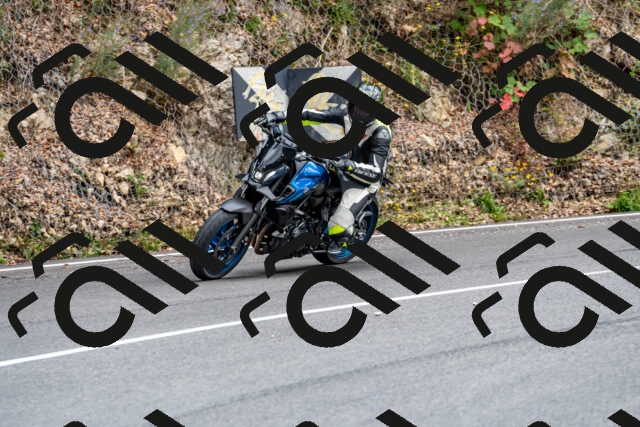 202509141514-DSC_0738_d2_