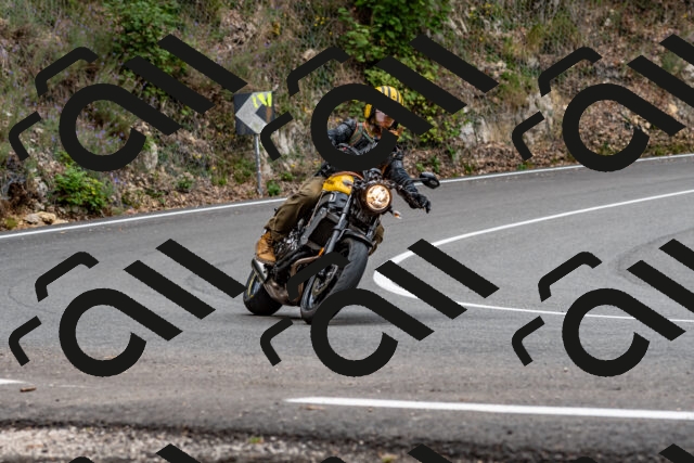 202509141517-DSC_0761_d2_