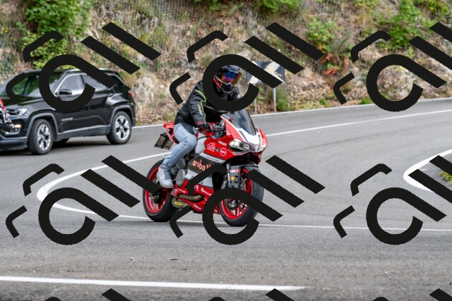 202509141524-DSC_0841_d2_