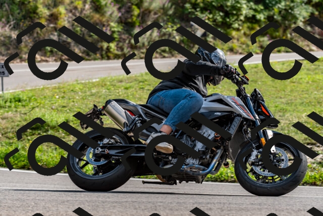 202509141538-DSC_0889_d2_