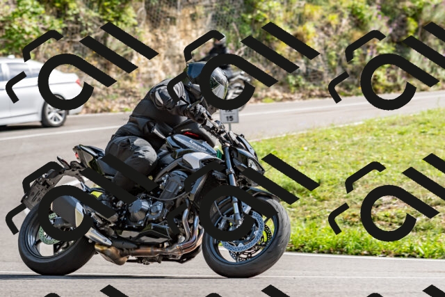 202509141542-DSC_0899_d2_