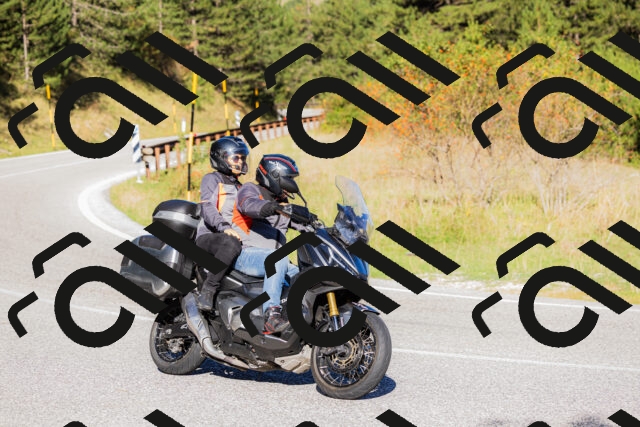 202509201005-_04A9821_c3