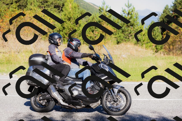 202509201005-_04A9822_c3