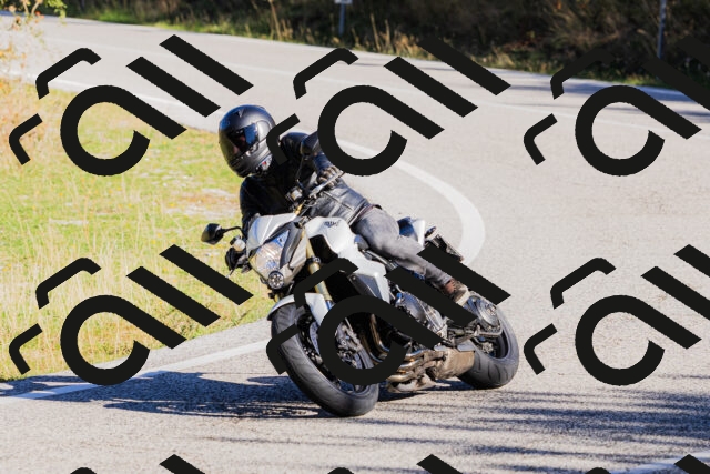 202509201005-_04A9827_c3