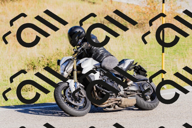 202509201005-_04A9828_c3