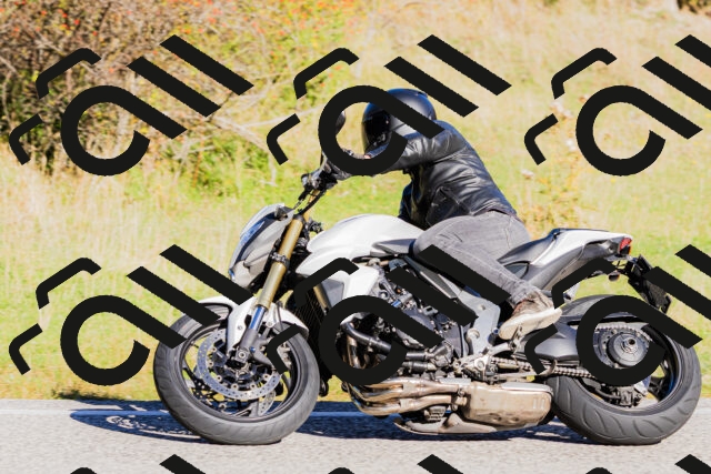 202509201005-_04A9829_c3