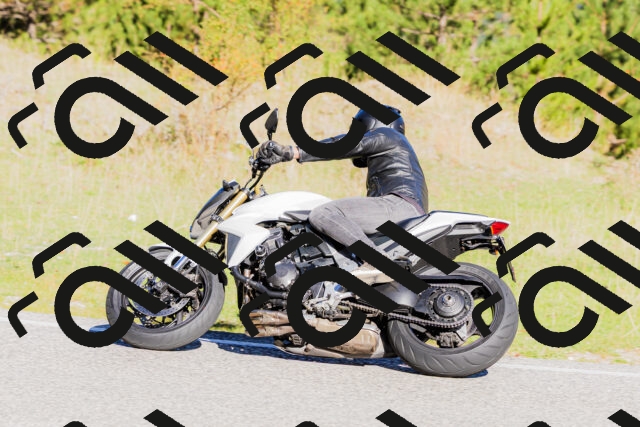 202509201005-_04A9830_c3