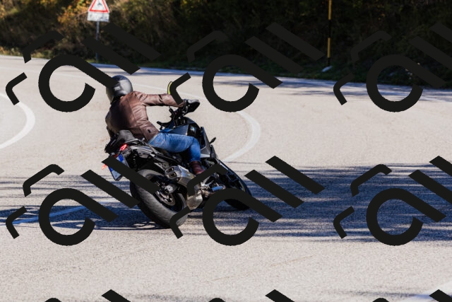 202509201008-_04A9836_c3