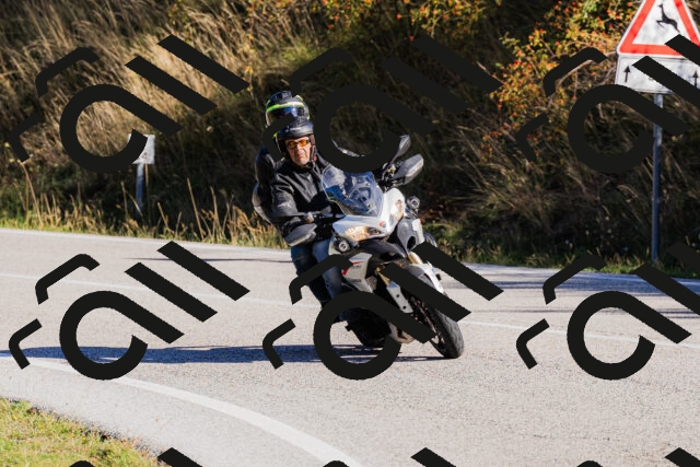 202509201009-_04A9838_c3