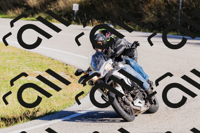 202509201009-_04A9840_c3