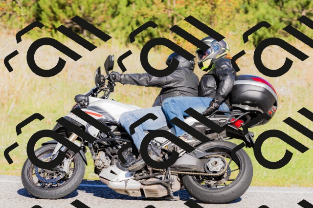 202509201009-_04A9844_c3