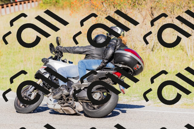 202509201009-_04A9845_c3