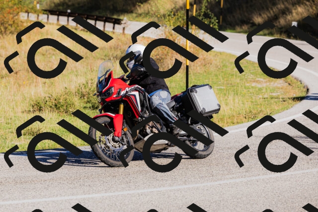 202509201010-_04A9864_c3