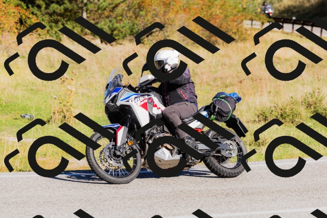 202509201010-_04A9866_c3