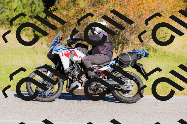 202509201010-_04A9867_c3