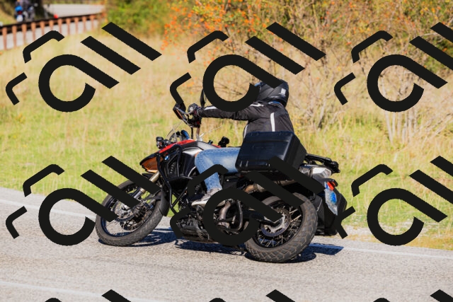 202509201010-_04A9874_c3