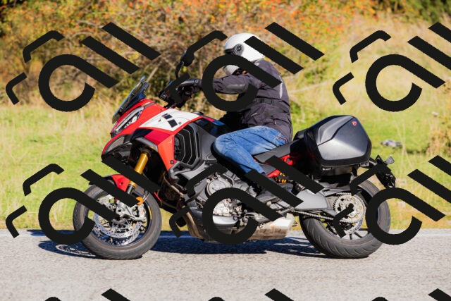 202509201011-_04A9901_c3