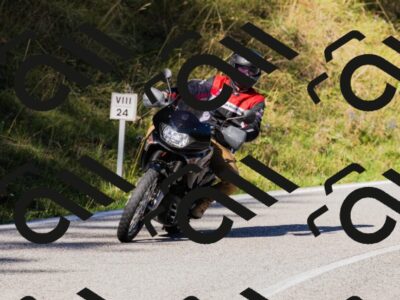 202509201013-_04A9906_c3