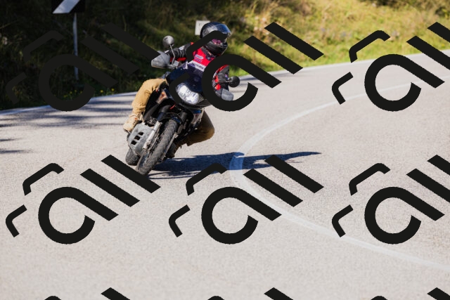 202509201013-_04A9908_c3