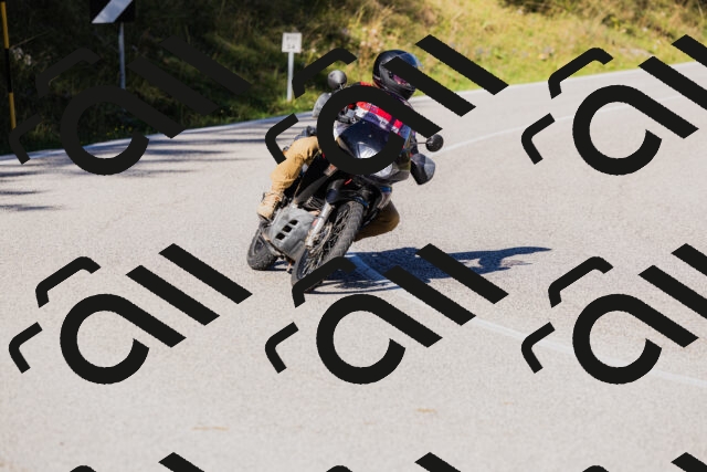 202509201013-_04A9909_c3