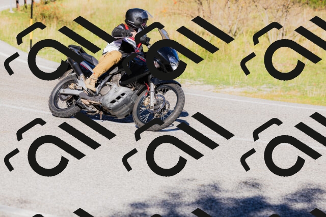 202509201013-_04A9911_c3