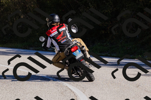 202509201013-_04A9918_c3