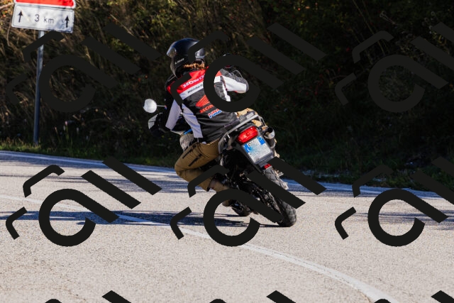 202509201013-_04A9919_c3