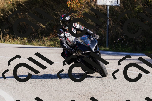 202509201013-_04A9921_c3