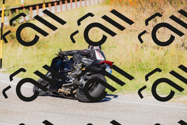 202509201013-_04A9929_c3