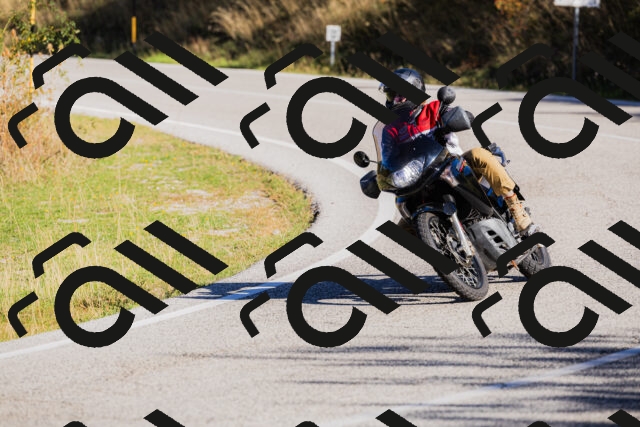 202509201013-_04A9936_c3