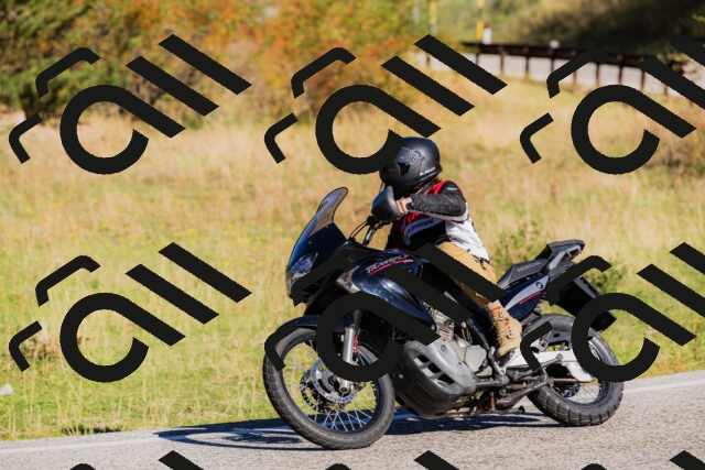 202509201013-_04A9938_c3