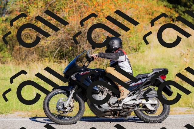 202509201013-_04A9939_c3